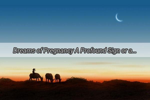 Dreams of Pregnancy A Profound Sign or a Misleading Glimpse